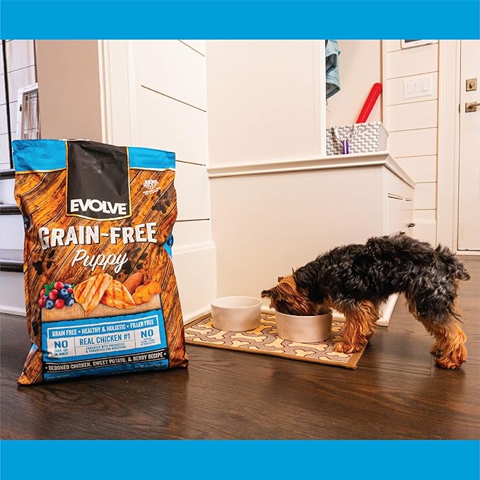 Evolve Grain Free Puppy Dog Food with Deboned Chicken, Sweet Potato & Berry, 14lb