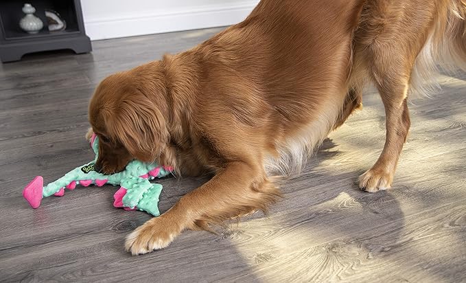 goDog Dragons with Chew Guard Technology Durable Plush Squeaker Dog Toy, Large, Seafoam, Plush Dog Toy