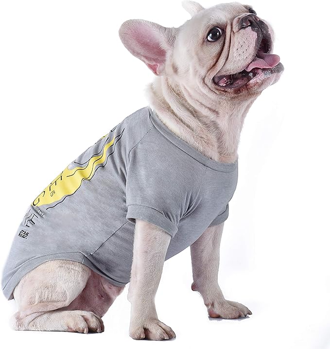 Star Wars for Pets "The force Is Strong With This One" Dog Tee | Star Wars Dog Shirt for Small Dogs | Size Small | Soft, Cute, and Comfortable Dog Clothing and Apparel