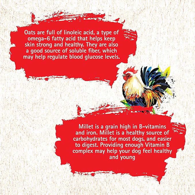 Inception® Dry Dog Food Chicken Recipe – Complete and Balanced Dog Food – Meat First Legume Free Dry Dog Food – 27 lb. Bag