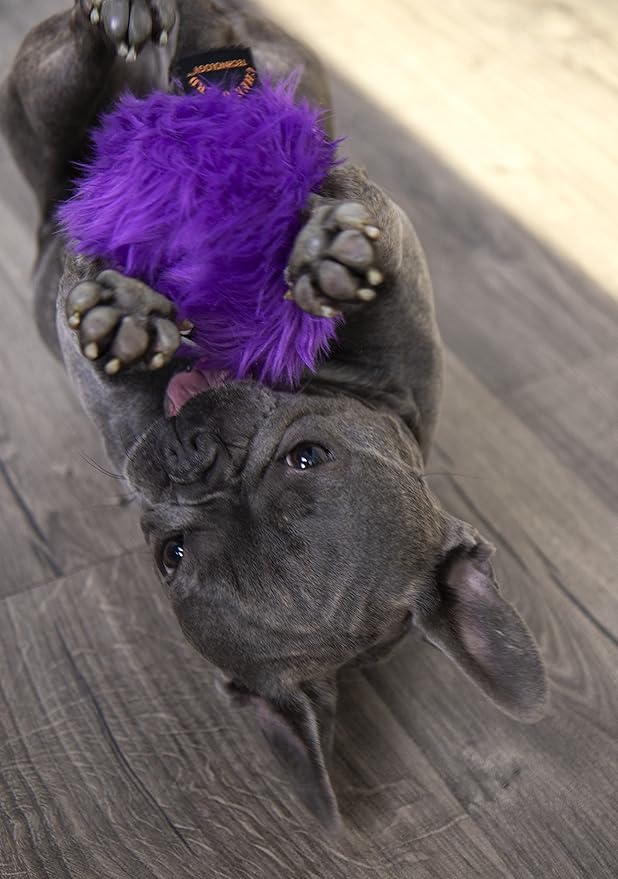 goDog Furballz Squeaky Plush Ball Dog Toy, Chew Guard Technology - Purple, Small