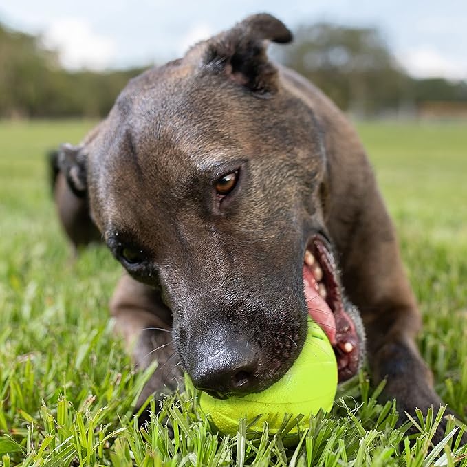 Nerf Dog Rubber Ball Dog Toy with Squeaker, Lightweight, Durable and Water Resistant, 4 Inch Diameter for Medium/Large Breeds, Single Unit, Green