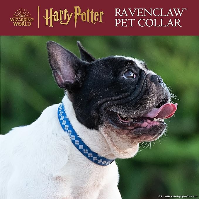 HARRY POTTER Ravenclaw Dog Collar in Size Extra Large | Extra Large Dog Collar, Dog Collar | Dog Apparel & Accessories for Hogwarts Houses, Ravenclaw Collar