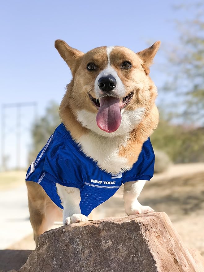 NFL New York Giants Dog Jersey, Size: XX-Large. Best Football Jersey Costume for Dogs & Cats. Licensed Jersey Shirt
