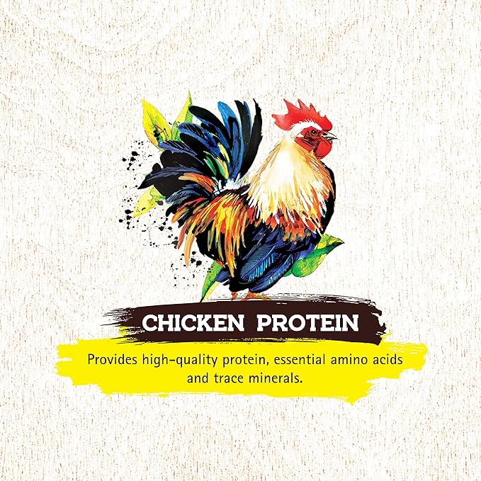 Inception® Dry Dog Food Chicken Recipe – Complete and Balanced Dog Food – Meat First Legume Free Dry Dog Food – 13.5 lb. Bag