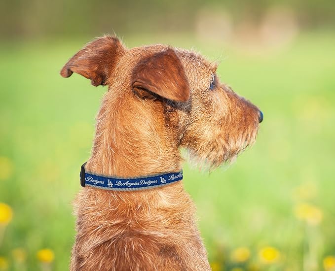 MLB Los Angeles Dodgers Licensed PET COLLAR- Heavy-Duty, Strong, and Durable Dog Collar. Available in 29 Baseball Teams and 4 Sizes