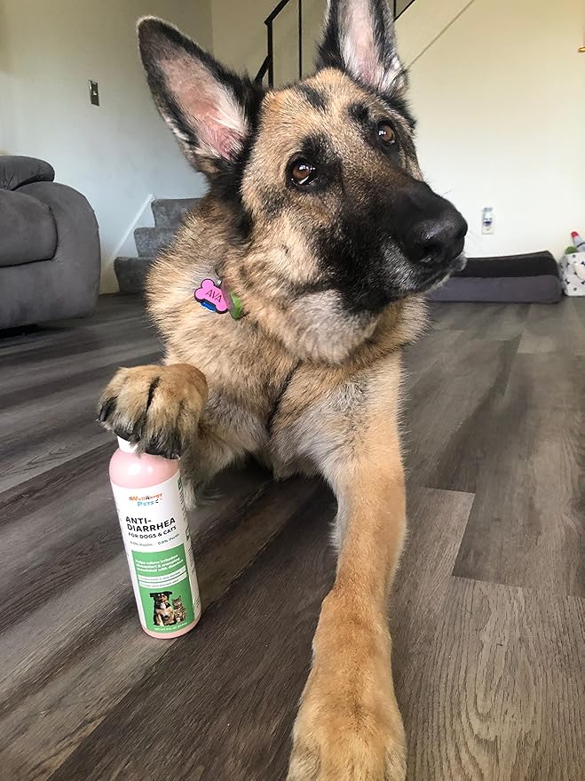 Anti-Diarrhea for Dogs & Cats (8 oz Liquid)(Syringe included)