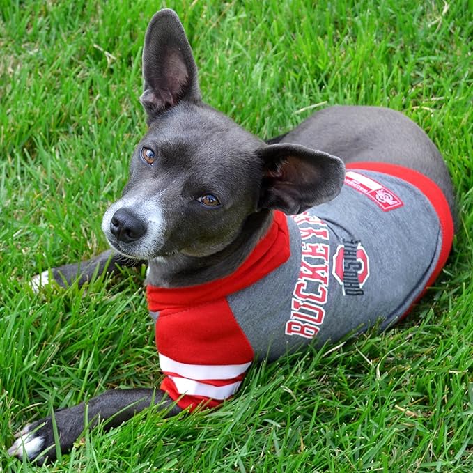 NCAA OHIO STATE BUCKEYES HOODIE for DOGS & CATS, SMALL COLLEGIATE Licensed DOG HOODY Tee Shirt. Sports HOODY T-Shirt for Pets. COLLEGE Sporty Dog Hoodie Shirt.