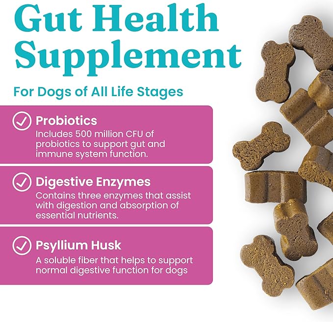 Solid Gold Dog Probiotic Chews - Bacon Flavor Soft Chews for Dog Digestive Support - Mellow Belly Probiotic for Dogs with Fiber & Digestive Enzymes for Bowel Support & Gut Health - 120 Count