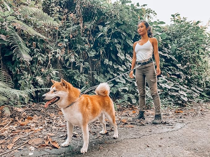 Tuff Pupper Heavy Duty Hands Free Dog Leash | One Small/Medium Dog Up to 45 lbs | Comfortable Shock Absorbing Bungee | Reflective Padded Handles | Lumbar Waist Belt 22-45" | Jogging Running Leash