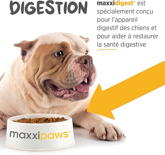 maxxidigest+ Probiotics, Prebiotics and Digestive Enzymes - Digestive and Immune Support Supplement for Dogs – 7 oz