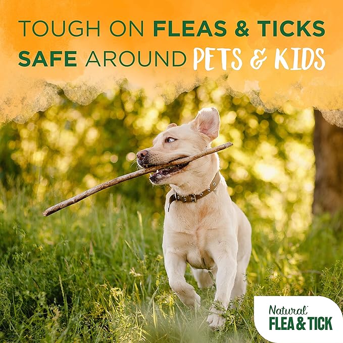 TropiClean Natural Flea and Tick Bite Relief for Dogs | Advanced Care Itch | Relief Flea Spray for Dogs | Made in the USA | 8 oz