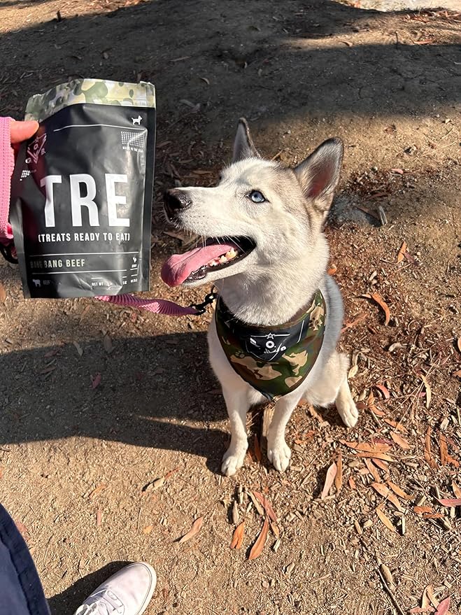 Operation Good Boy Dog Treats - Beef Jerky Strips Bang Bang Beef | Natural, Farm-Raised Meat - Vet-Formulated AAFCO approved ingredients | Perfect Training Treats for Medium to Large Dogs