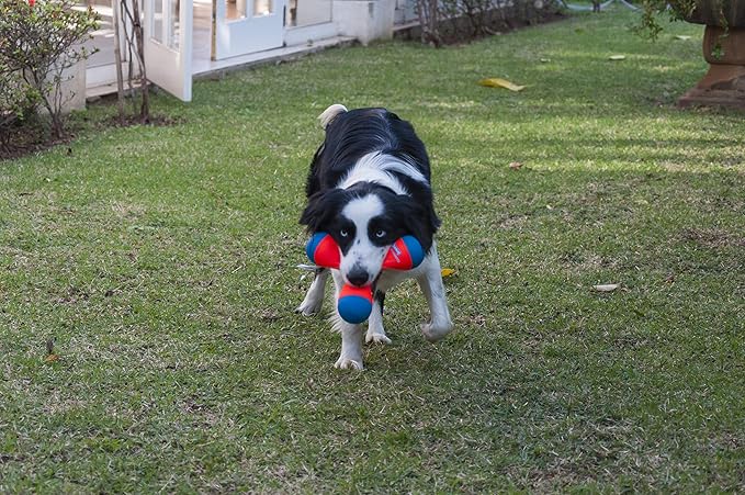Chuckit! Amphibious Tri-Bumper Fetch Dog Toy, Medium (8.2 Inch),Black