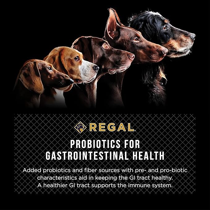 Adult Farmhouse Recipe (Chicken and Duck) All Natural, Slow Cooked Whole Grain Dry Dog Food for All Breeds and Sizes of Adult Dog - Made in The USA, 13 LB Bag