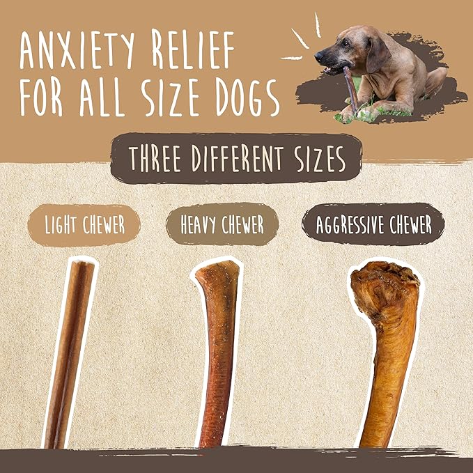 Mighty Paw Naturals Bully Sticks for Dogs - Grass Fed Beef Dog Chews. Dog Bully Sticks for Large Dogs, Medium and Small Breeds. Lower Odor Bully Sticks for Small Dogs. Single Ingredient (12" - 5 Pack)