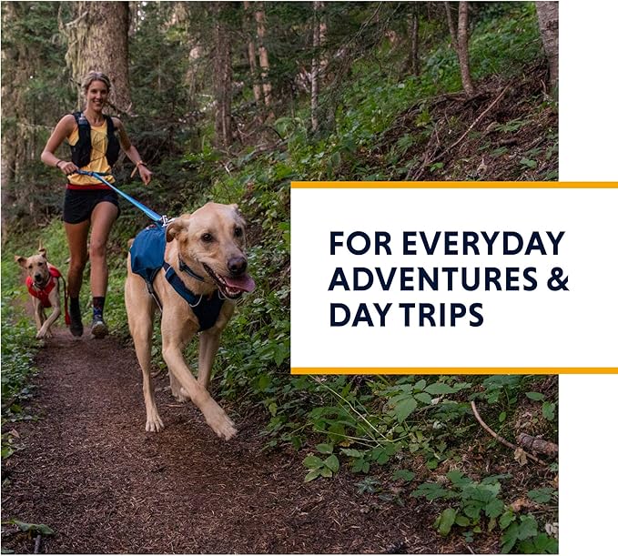 Ruffwear, Switchbak Dog Harness, Pack & Harness Hybrid for Day Trips & Everyday Use, Blue Moon, X-Small