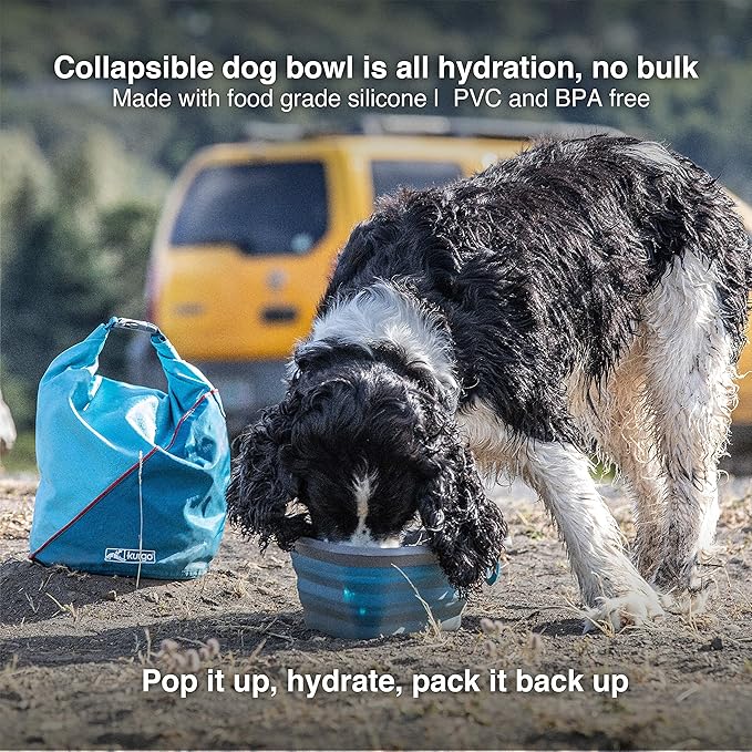 Kurgo Collapsible & Portable Travel Dog Bowl | Mash N’ Stash | Portable Water for Dogs | Food Grade Silicone Collapsible Dog Bowl | BPA No | Pet Travel Accessories | Holdsup to 24 oz (Regular), Blue