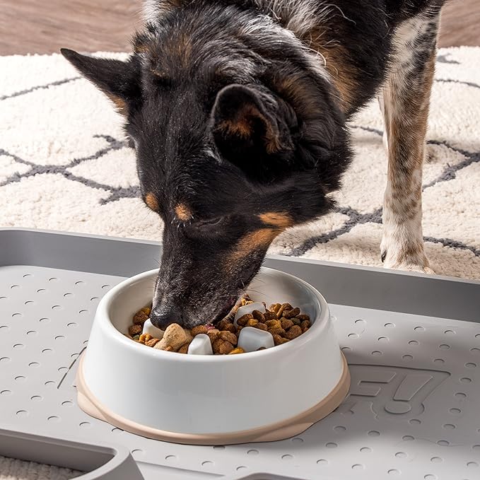 IRIS USA 4 Cups Slow Feeder Dog Bowl, Anti-Choking, Anti-Slip, Easy to Clean, Interactive Puzzle Toy, Healthy Digestion, Long snouted, Dogs Cats & Other Pets, BPA, PVC, Phthalate Free, White/Beige