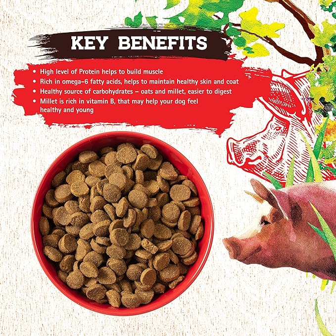 Inception® Dry Dog Food Pork Recipe – Complete and Balanced Dog Food – Meat First Legume Free Dry Dog Food – 4 lb. Bag