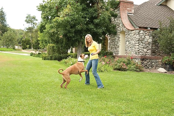 PetSafe Stay+Play Wireless Receiver Collar Blk