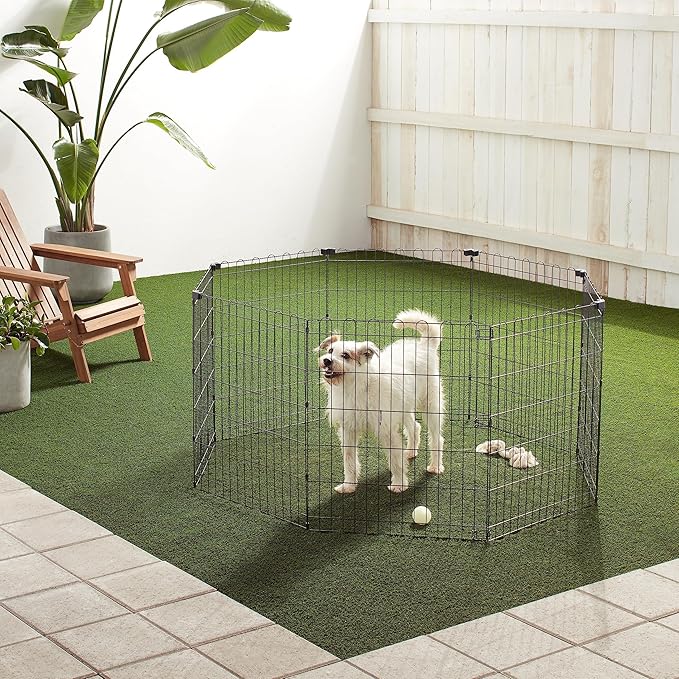 Amazon Basics Foldable Octagonal Metal Exercise Pet Play Pen for Dogs, Fence Pen, No Door, Small, 60 x 60 x 30 Inches, black
