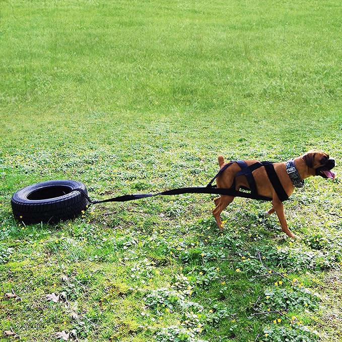 Dog Weight Pulling Harness - Dog Pulling, Weight Training, Dog Sledding, Building Muscle, Improved Behavior, Canicross, Competition and Working Dogs - Complete with Dog Whistle