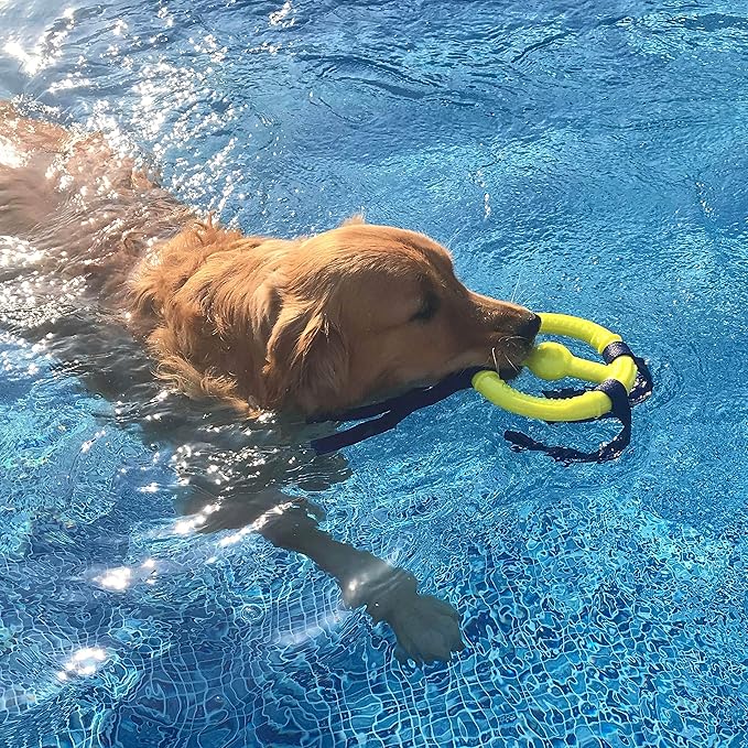 Nylabone Power Play Ring Thing Floatable Interactive Play Toy, Fetch Toy for Dogs, Medium (1 Count)
