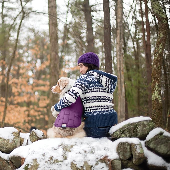 Kurgo Loft Dog Jacket, Reversible Dog Coat, Wear with Harness or Sweater, Water Resistant, Reflective, Winter Coat for Medium Dogs (Deep Violet, M)