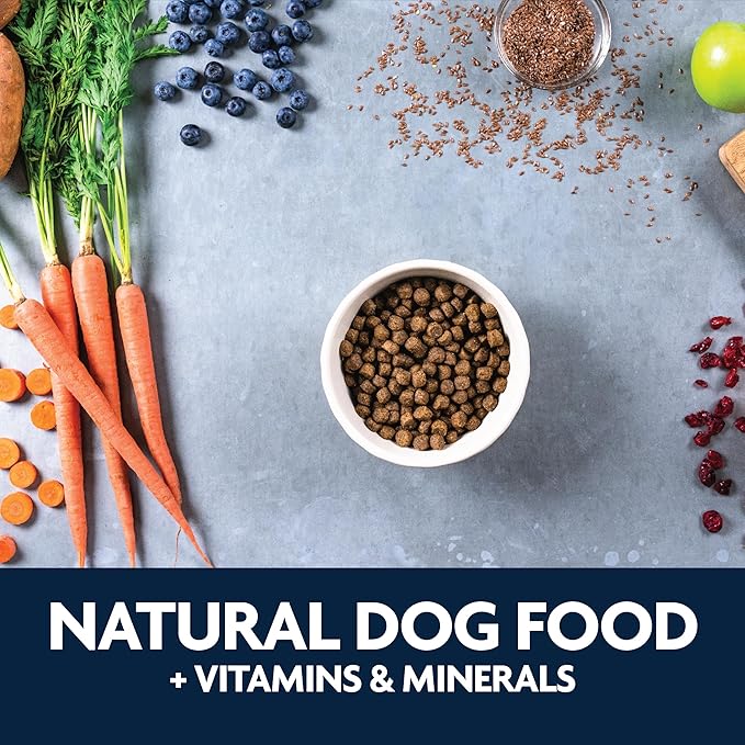 Triumph Free Spirit Puppy Deboned Chicken, Sweet Potato, & Berry Recipe Dry Puppy Food, 13 LB