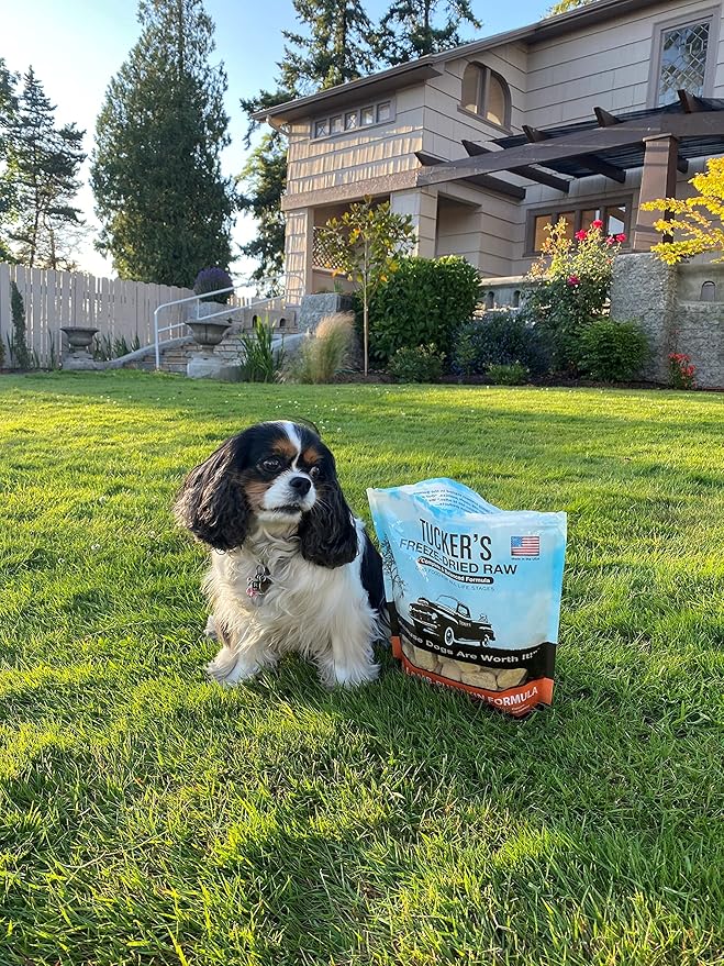 Tucker's Raw Frozen Freeze Dried Raw Dog Food, Pork, Lamb & Pumpkin Formula 14oz