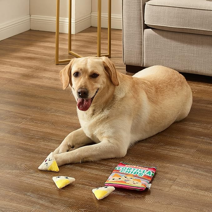 Outward Hound Snack Bag Tortilla Chips Puzzle Squeaky Dog Toys