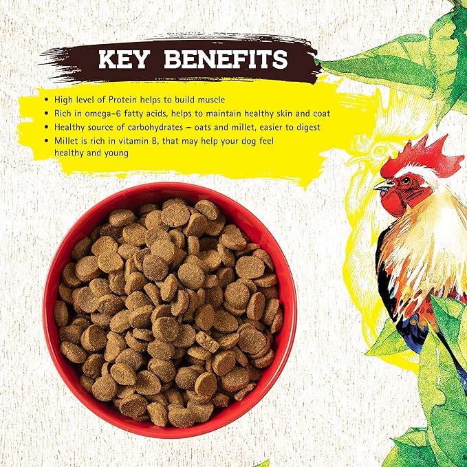 Inception® Dry Dog Food Chicken Recipe – Complete and Balanced Dog Food – Meat First Legume Free Dry Dog Food – 13.5 lb. Bag