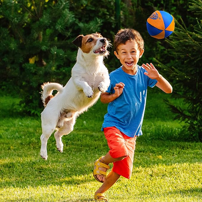 Nerf Dog Trackshot Ball Dog Toy with Interactive Squeaker and Crunch, Lightweight, Durable and Water Resistant, 4.5 Inches, For Medium/Large Breeds, Single Unit, Blue/Orange