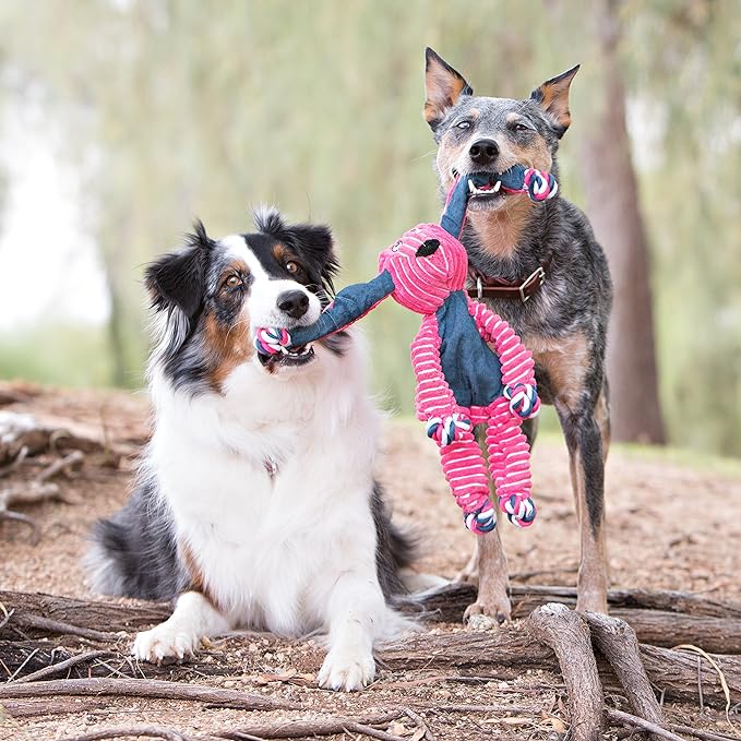 KONG Floppy Knots Fox and 2 Signature Balls - Sturdy & Fun Dog Toys - Strong Dog Toy Balls for Fetch & Soft Toy with Internal Squeaker - for Large Dogs