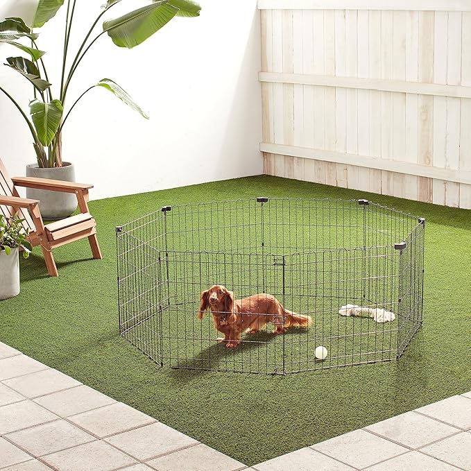 Amazon Basics Foldable Octagonal Metal Exercise Pet Play Pen for Dogs, Fence Pen, No Door, Extra Small, 60 x 60 x 24 Inches, black