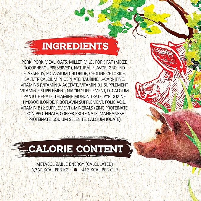 Inception® Dry Dog Food Pork Recipe – Complete and Balanced Dog Food – Meat First Legume Free Dry Dog Food – 4 lb. Bag