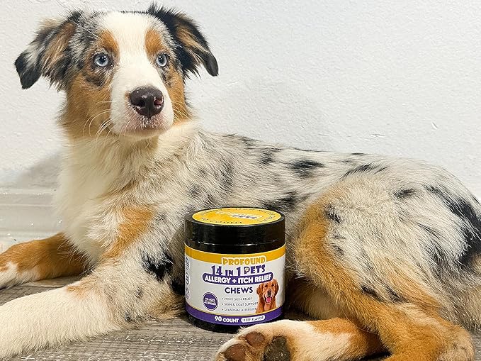 Pet Allergy and Itch Relief, Dog Allergy Chews, Intermittent Itchiness, Pet Probiotic, Seasonal Allergies - Anti Itch Support