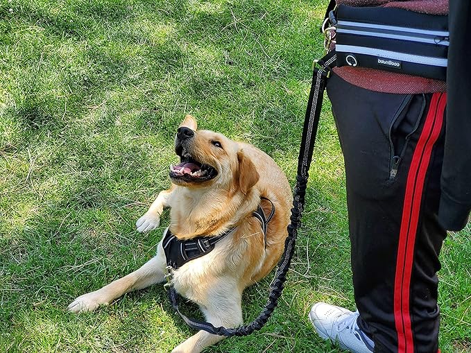 Hands Free Dog Leash with Zipper Pouch, for Medium and Large Dogs, 4Ft 6 Ft, Waist Leash for Dog, Durable Bungee for Walking, Jogging, and Running Your Dog (Large, 25-120 lbs, Black)