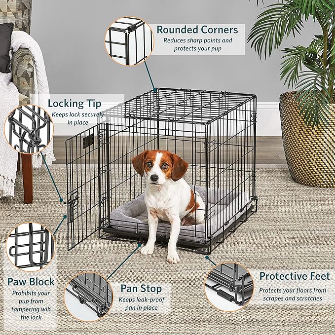 MidWest Homes for Pets Small Dog Crate | Life Stages 24' Folding Metal Crate | Divider Panel, Floor Protecting Feet, Leak-Proof Dog Pan | 24L x 18W x 19H Inches, Small Dog Breed