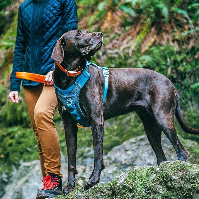 Kurgo Journey Air Dog Harness, Vest Harnesses for Dogs, Pet Hiking Harness for Running & Walking, Reflective, Padded, includes Control Handle, No Pull Front Clip (Coastal Blue, Small)