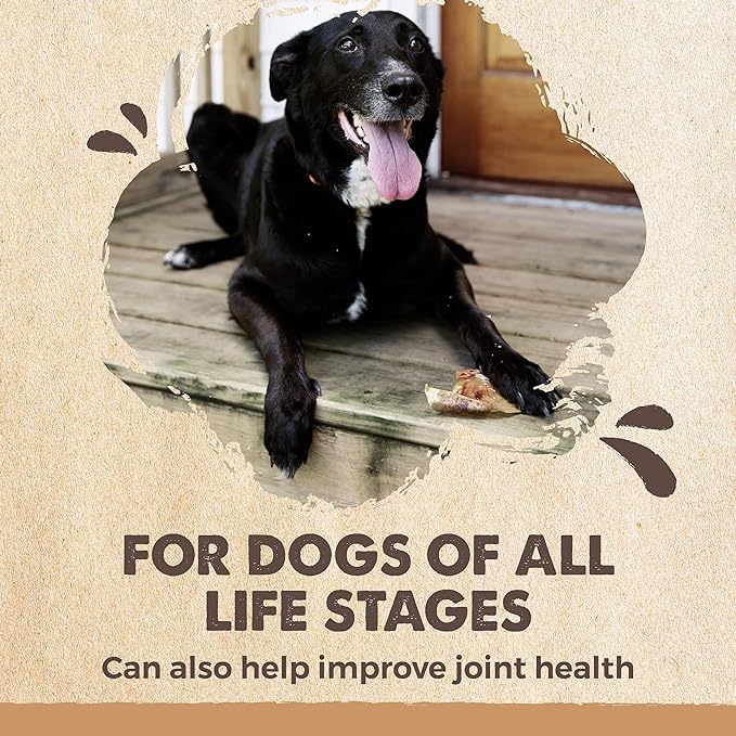 Mighty Paw Half Pig Ears Dog Chews | Natural Single-Ingredient Pork Treats | For All Breeds | 12 Count