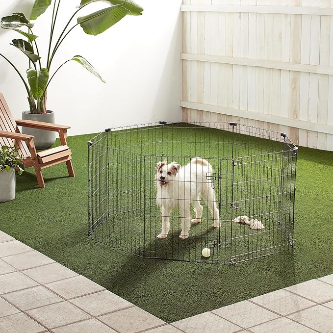 Amazon Basics - Octagonal Foldable Metal Exercise Pet Play Pen for Dogs, Fence Pen, Single Door, Small, 60 x 60 x 30 Inches, Black