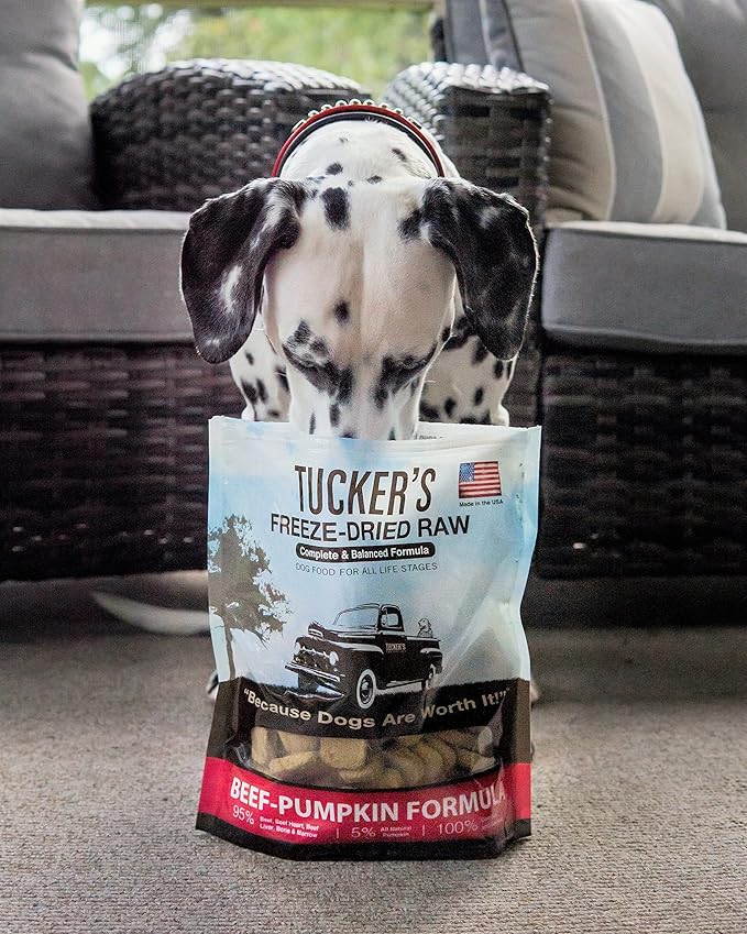Tucker's Raw Frozen Freeze Dried Raw Dog Food, Beef & Pumpkin Formula 14oz