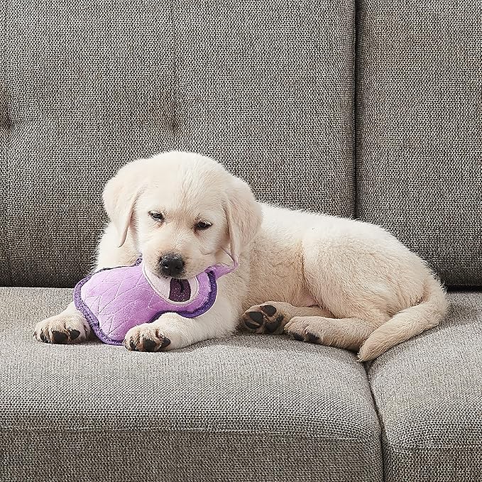 Outward Hound Xtreme Seamz Sloth Squeaky Durable Dog Toy