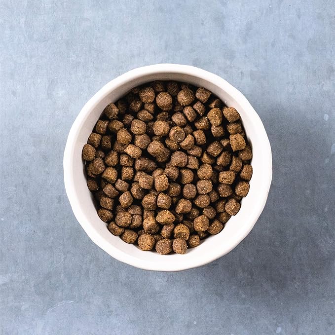 Evolve Grain Free Puppy Dog Food with Deboned Chicken, Sweet Potato & Berry, 14lb