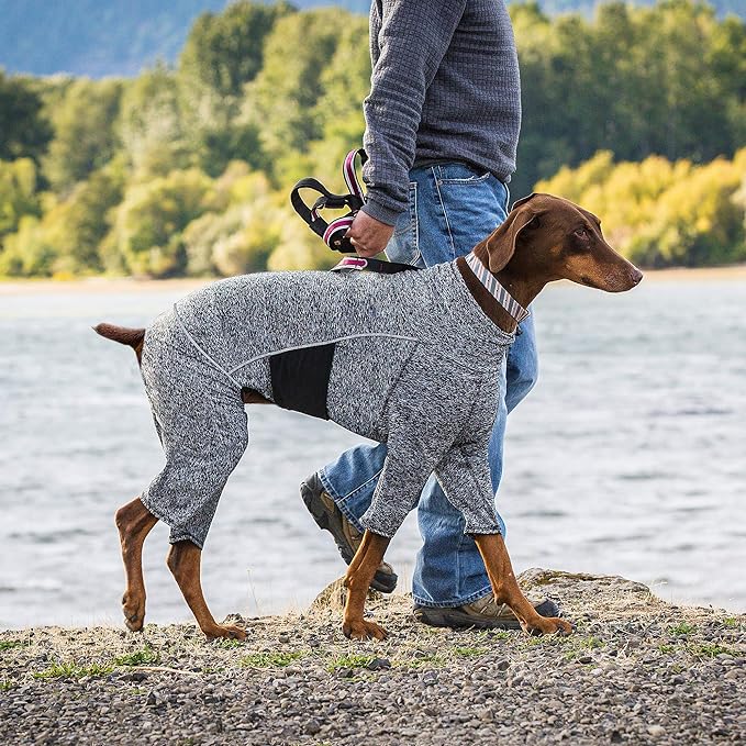 Kurgo Dog Onesie Body Warmer, Bodysuit for Dogs, Recovery Suit, Pet Pajamas, Reduce Anxiety, Contains Shedding, Leash Opening, Reflective, Stowe Base Layer, Heather Black/Grey (Medium)