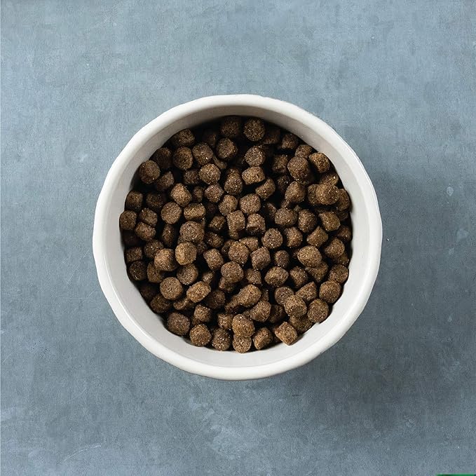 Evolve Grain Free Deboned Turkey & Sweet Potato Recipe Dog Food, 13 lb.