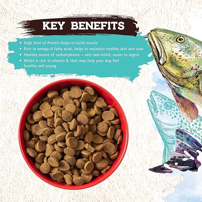 Inception® Dry Dog Food Fish Recipe – Complete and Balanced Dog Food – Legume Free Meat First Dry Dog Food – 13.5 lb. Bag
