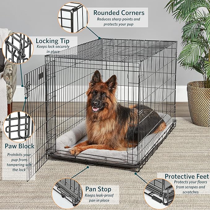 MidWest Homes for Pets XL Dog Crate | MidWest Life Stages Folding Metal Crate | Divider Panel, Floor Protecting Feet, Leak-Proof Pan | 48L x 30W x 33H Inches, XL Dog Breed